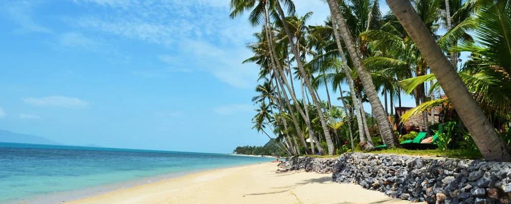 Green Coconut Village A1 - photo 11