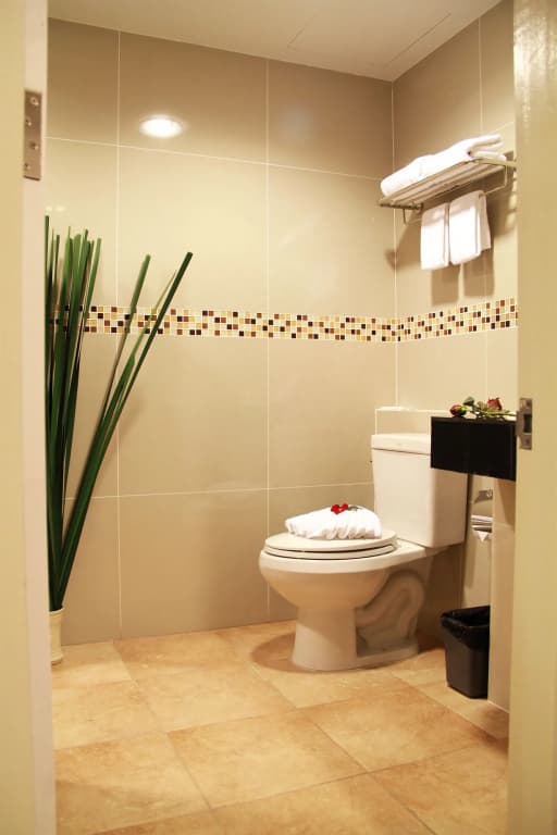 101 Holiday Suite - photo 9