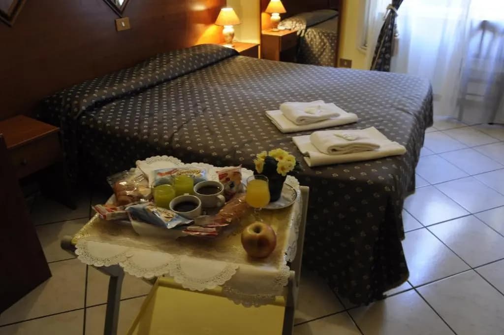Hotel Farini - photo 9