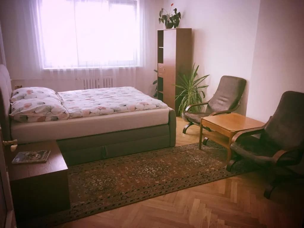 Apartment Anna Vysehrad - photo 2