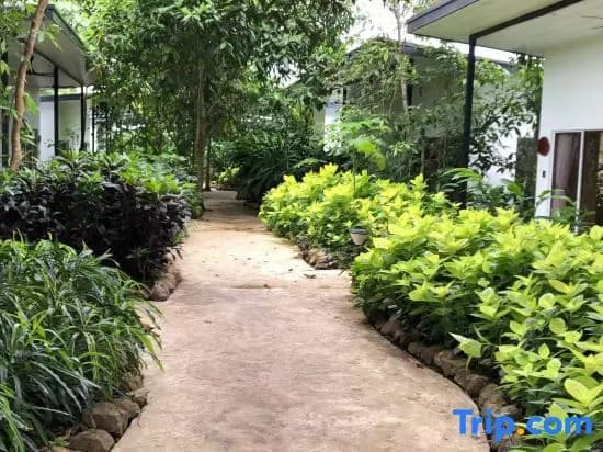 The Firefly Resort - photo 4