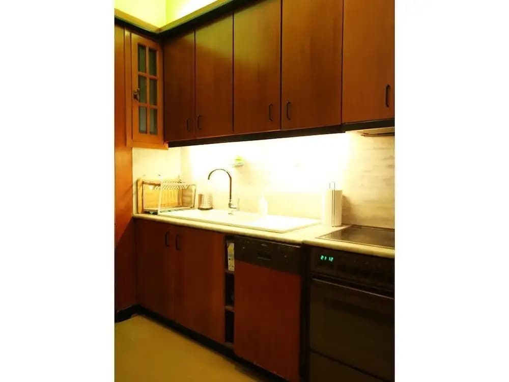 Romantic Apt with Penthouse & Acropolis View - photo 16