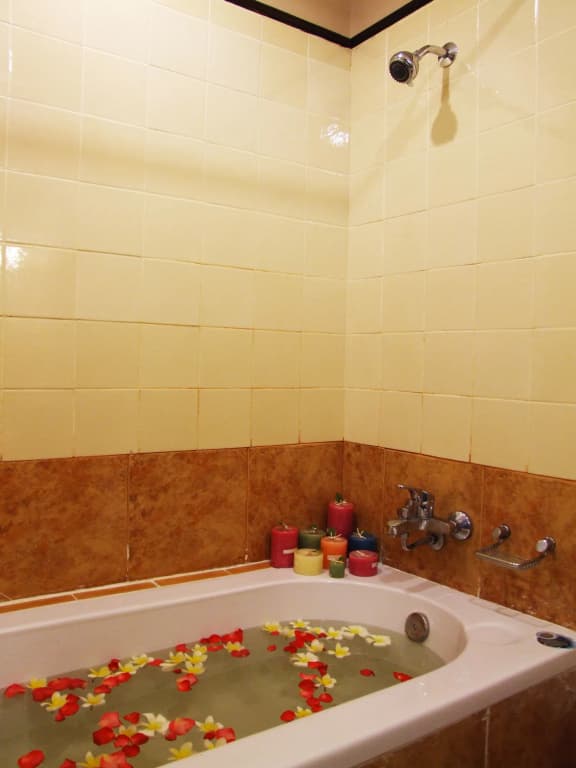 Sarita Chalet & Spa - photo 9