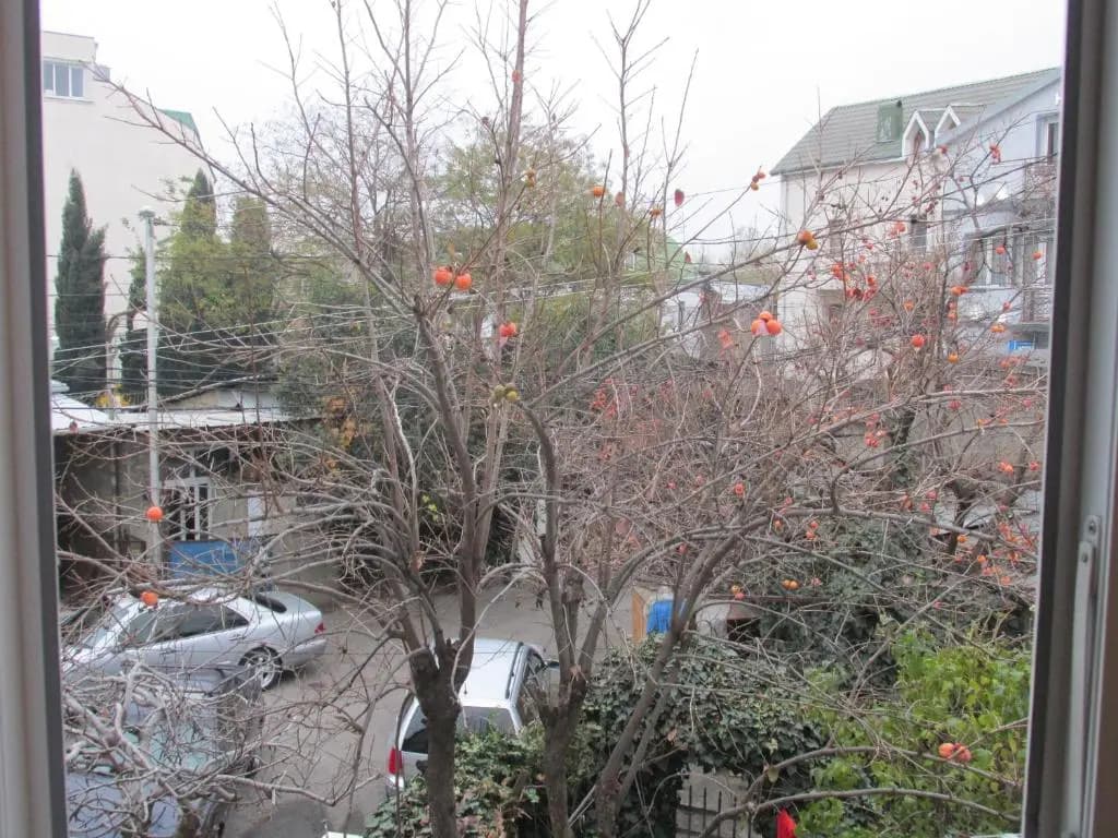 Apartment Avlabari (In old Tbilisi) - photo 8