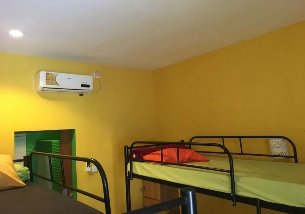 Cheeky Piggy Hostel - photo 2