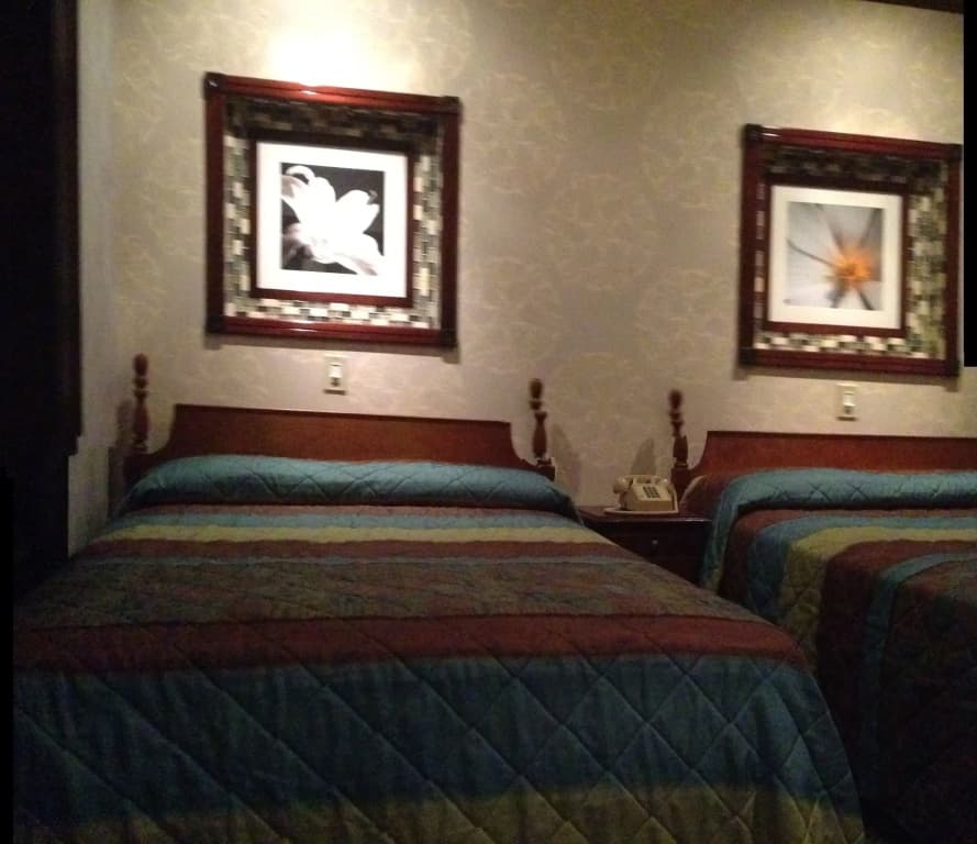Hotel 31 - photo 3