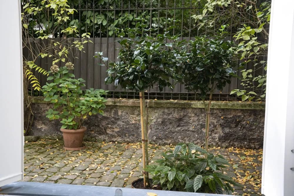 My Nest Inn Paris Quartier Latin - photo 11