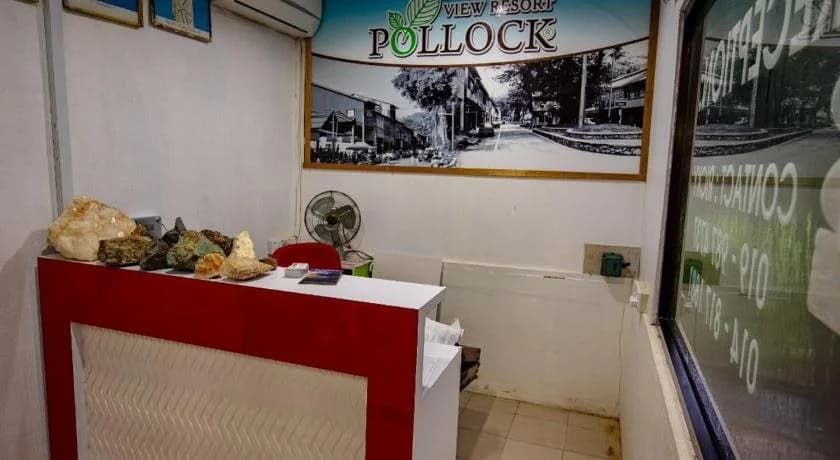 Pollock View Resort - photo 16