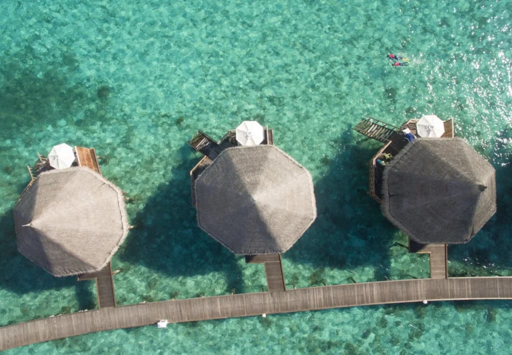 Angaga Island Resort & Spa - photo 5