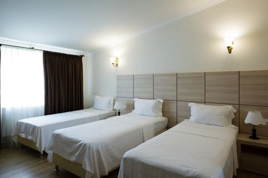 Hotel Gremi - photo 6