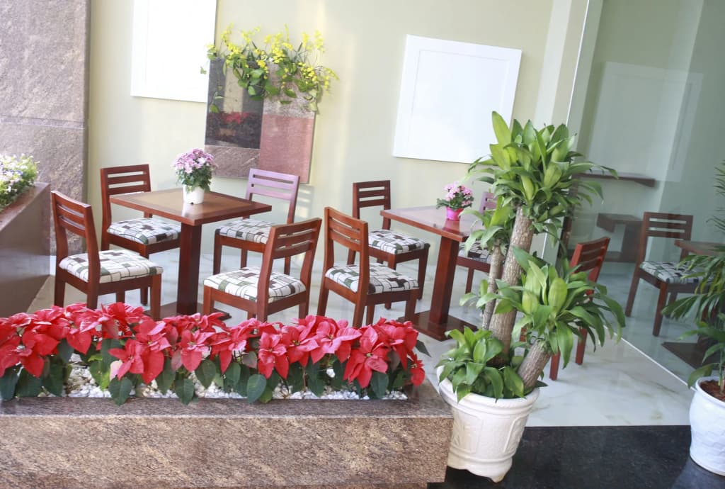 Green House Hotel - photo 20