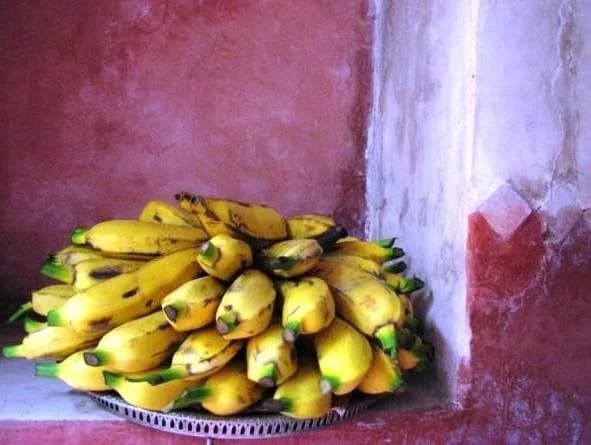 Riad les Inséparables - photo 8