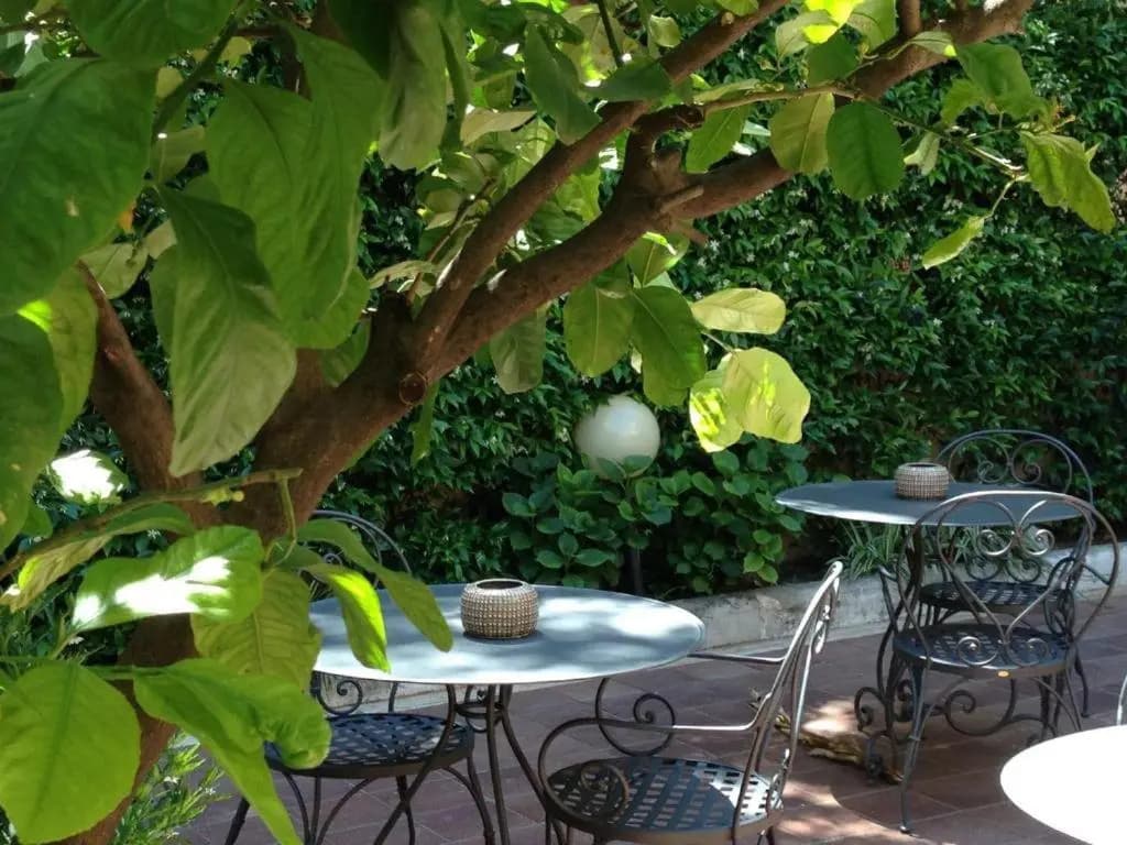 Hotel Astoria Garden - photo 5