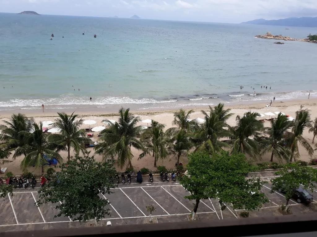 Moonlight Bay Hotel - photo 17