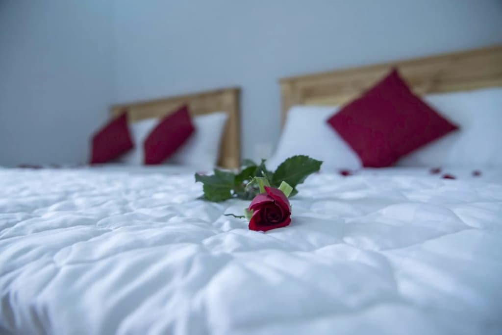 Lotus Phu Quoc Hotel - photo 5