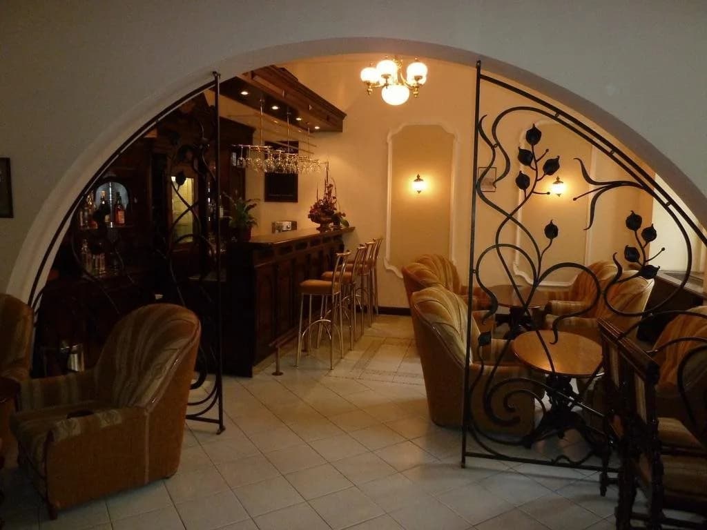 Vysehrad Hotel - photo 2