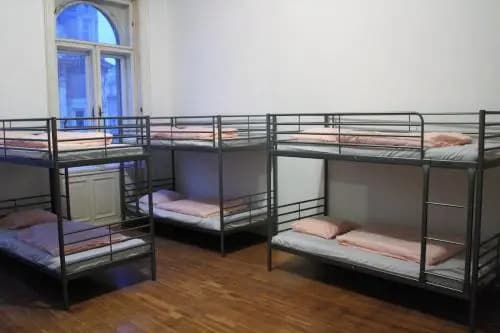 Black Dog Hostel - photo 4