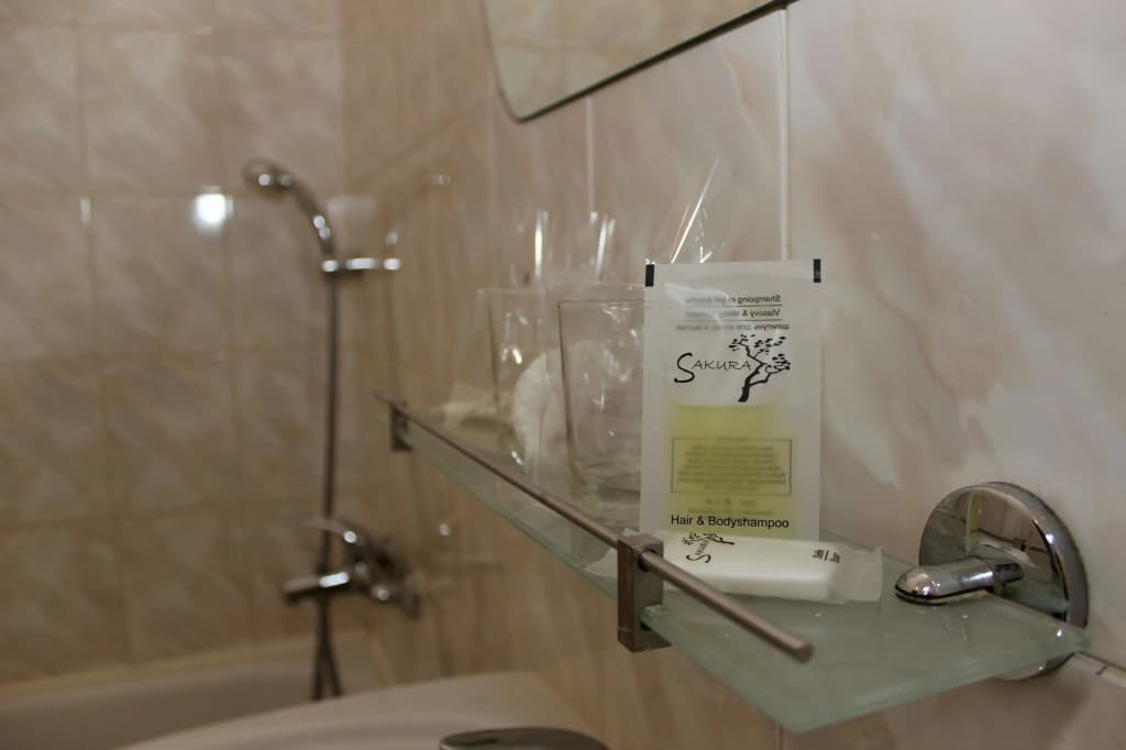 Hotel Meran - photo 9