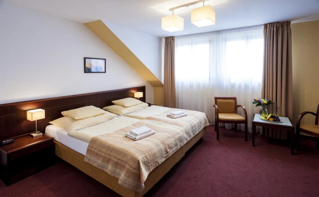 Hotel Petr - photo 3