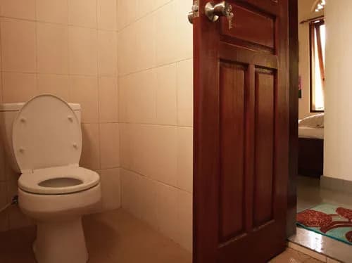 Ubud Dream Homestay - photo 9
