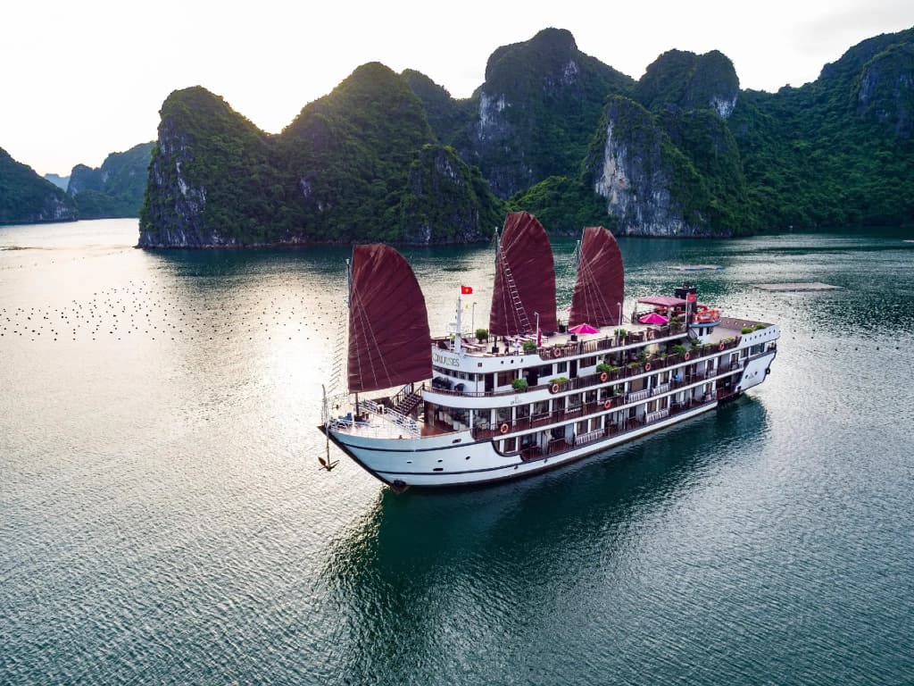 Alisa Luxury Cruise - photo 13