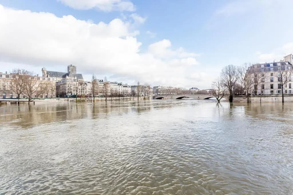 Veeve - Quai Aux Fleurs Apartment - photo 10