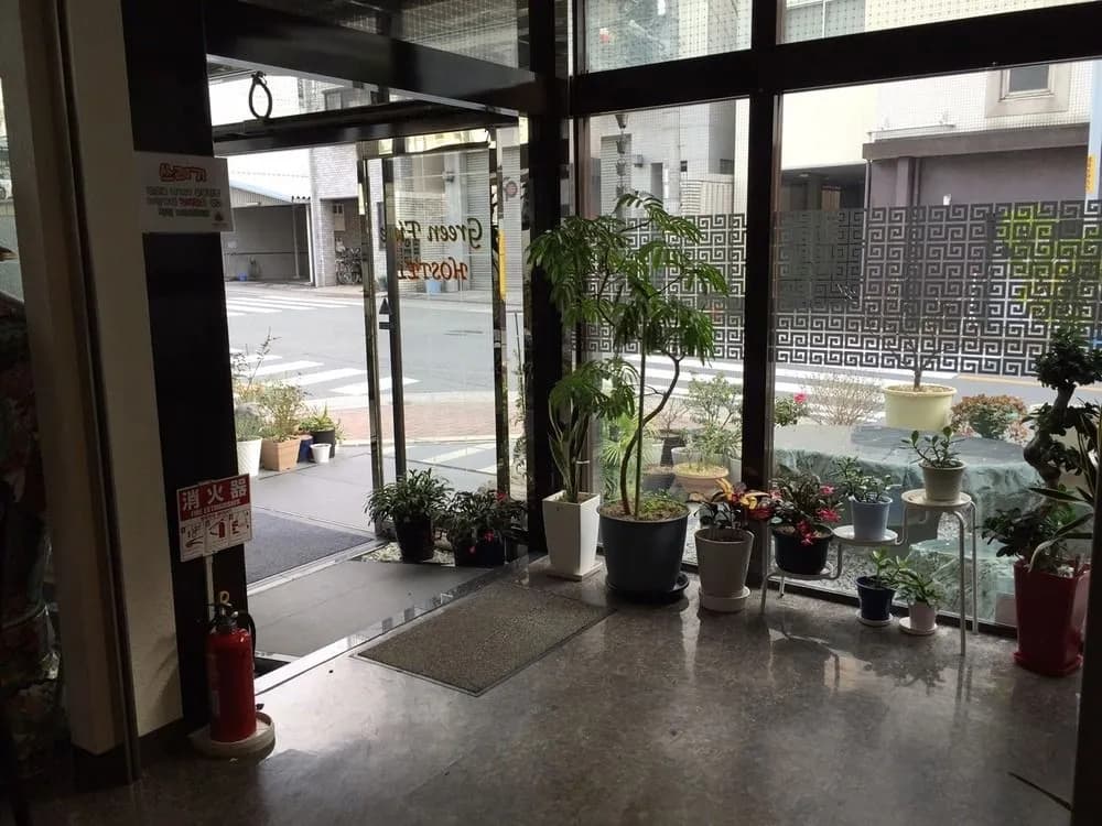 Green Fine - photo 15