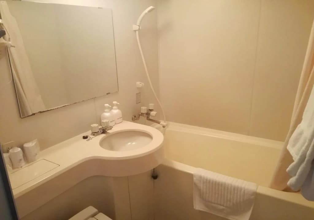 Kizankan Hotel - photo 8