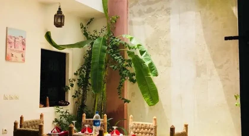 Riad Paradise - photo 15