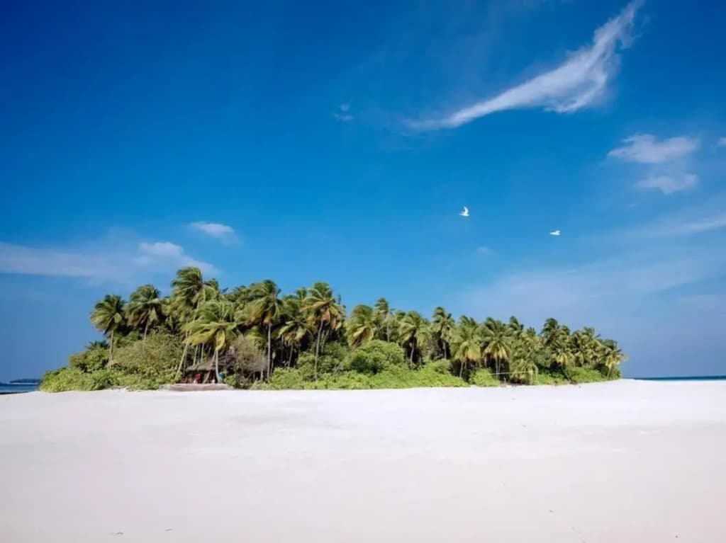 Yash Nature Resort - photo 14