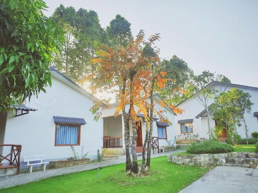 Bungalow VinaHouse - photo 16