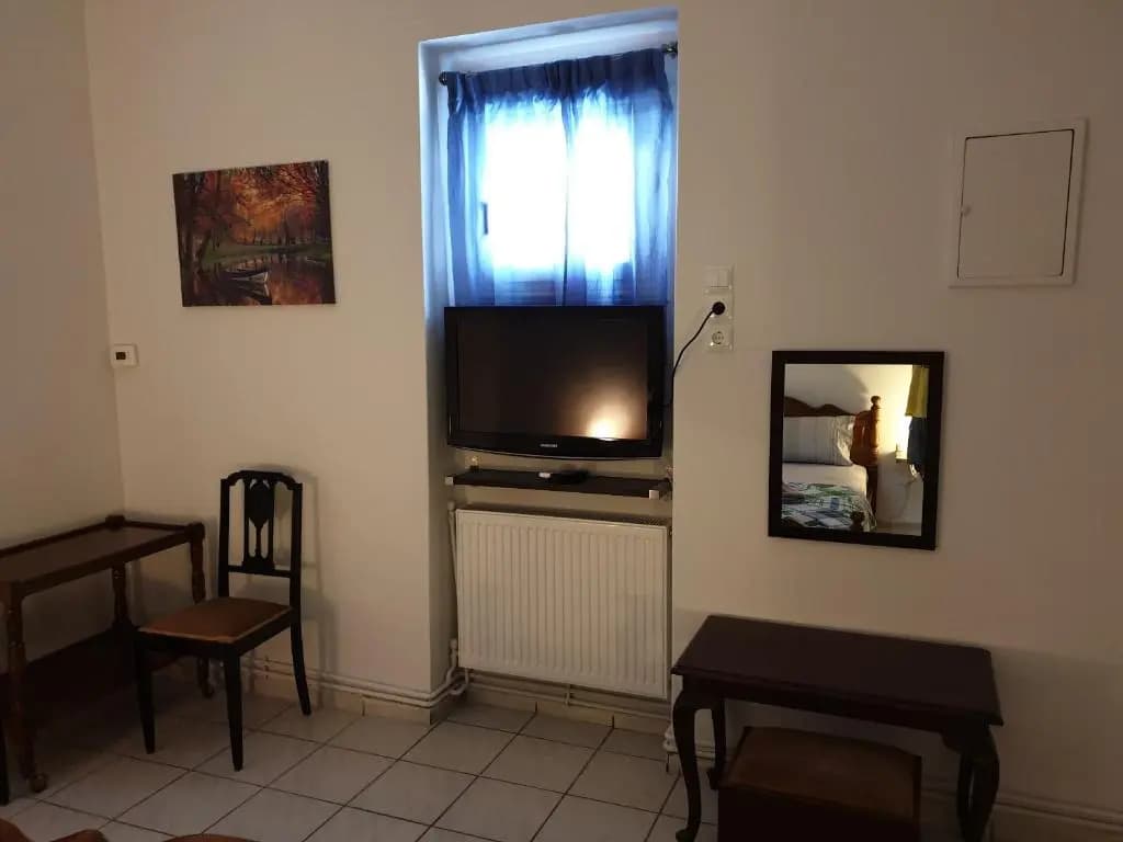 Antonia family house near center - photo 4