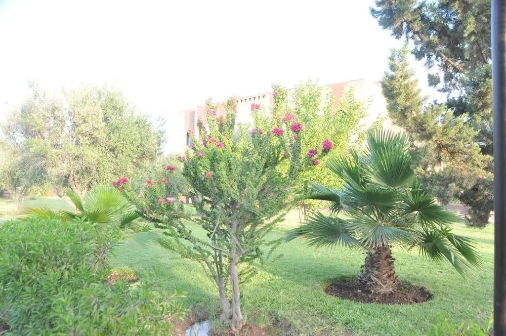 Riad Mhidou - photo 7