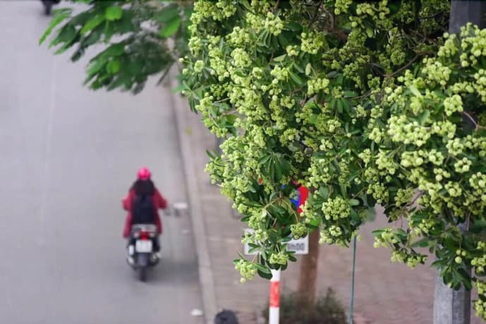 ZO Hotels Han Thuyen - main photo