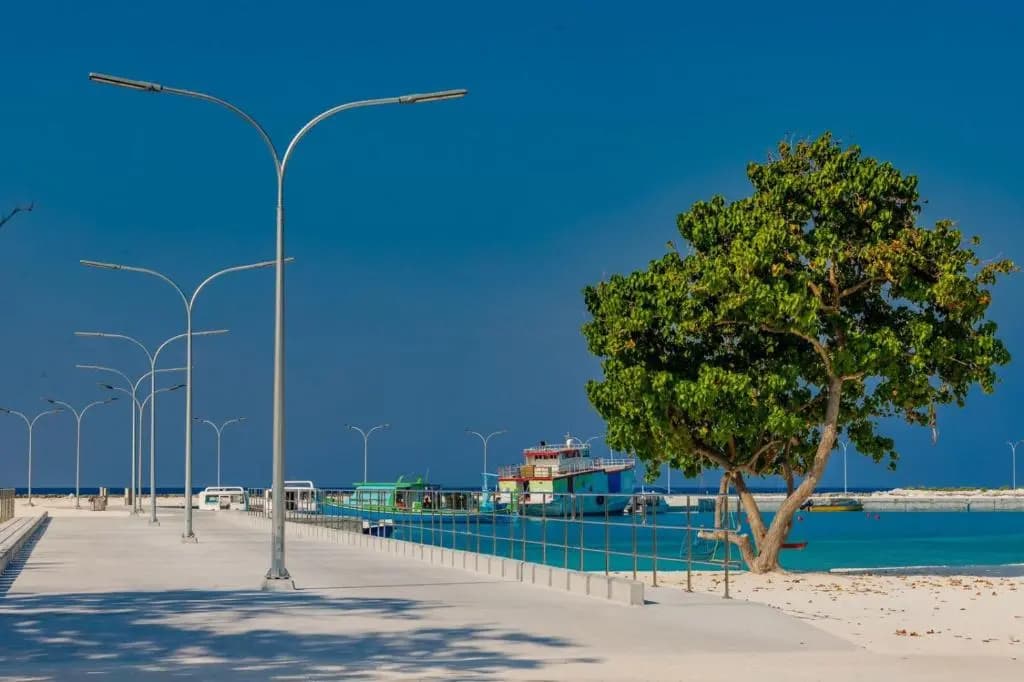 Fehendhoo Stay - photo 5
