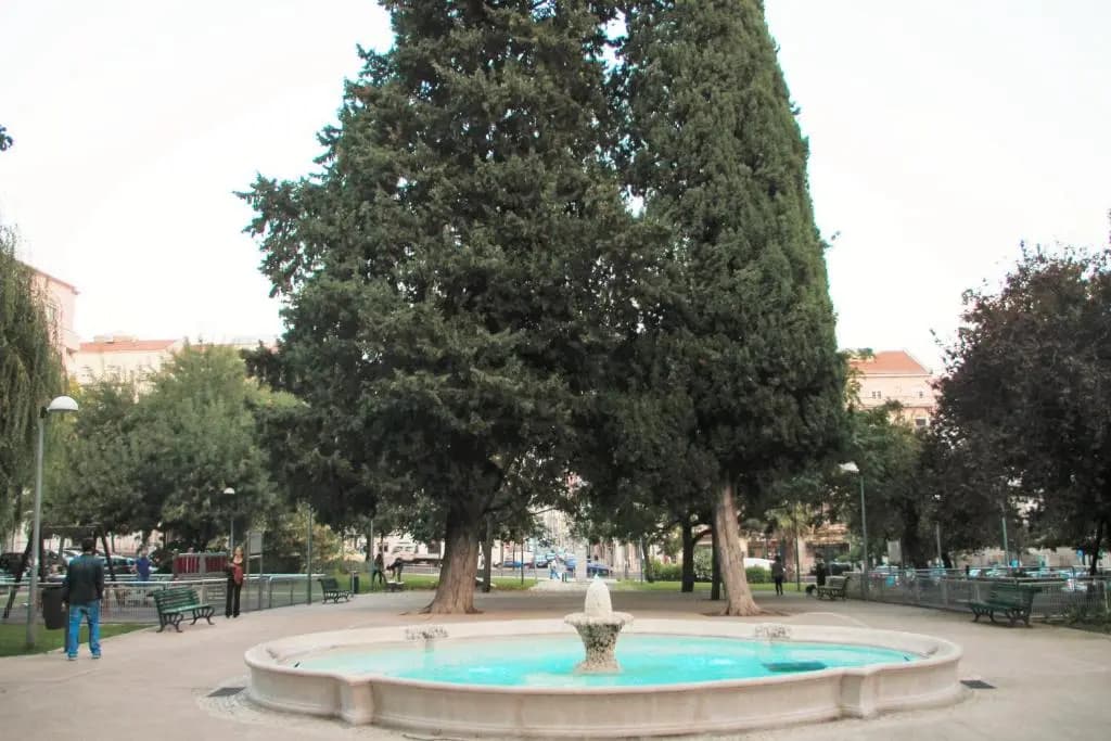 Casa da Praceta - photo 10