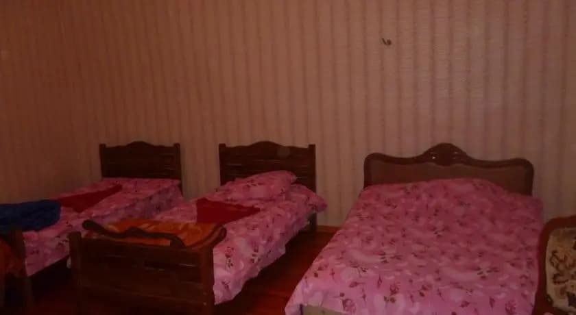 Olga Hostel - photo 2