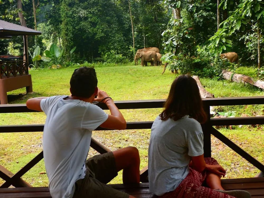 Kawag Nature Lodge - photo 6
