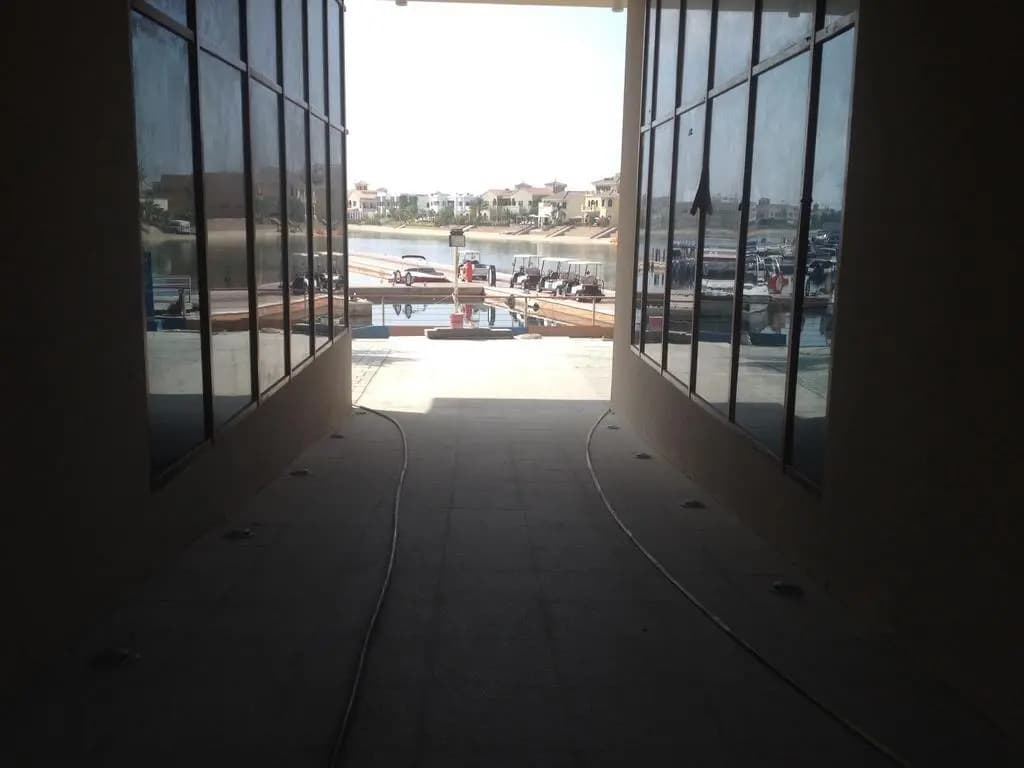 Palm View West - photo 7