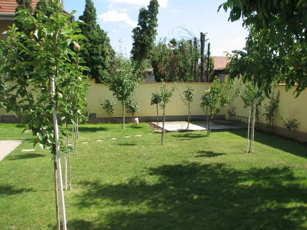 Aranyoshaz-Vendeghaz - photo 6