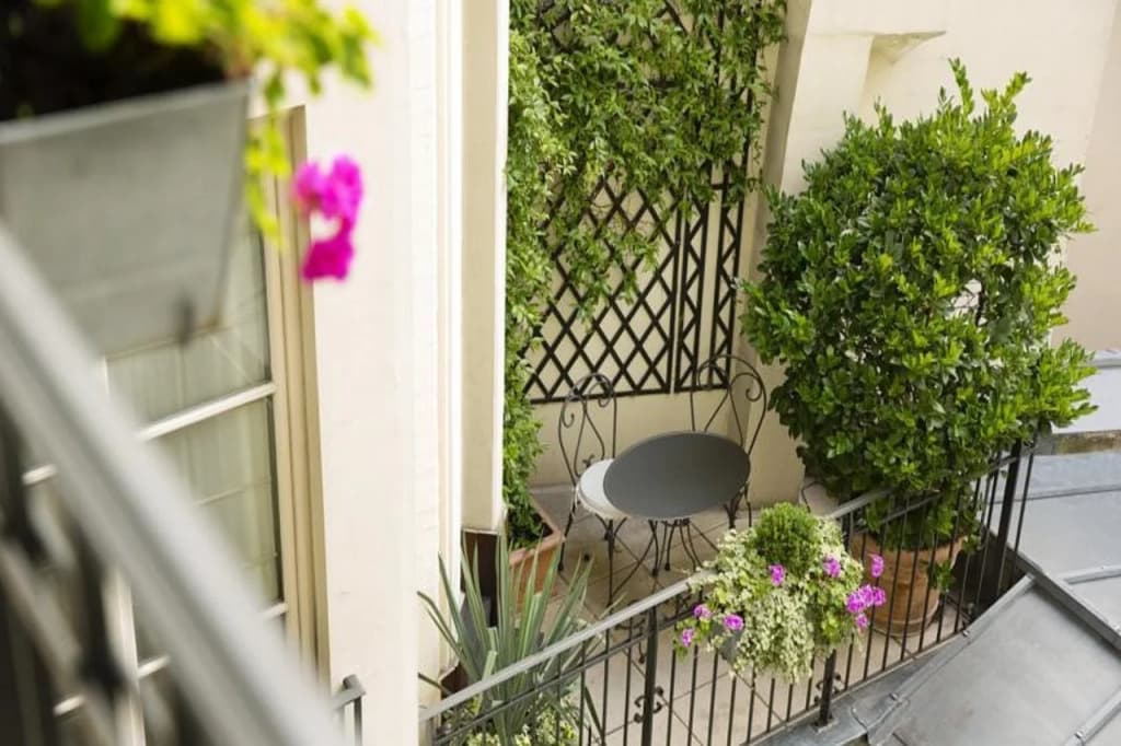 Hotel Arioso - photo 15