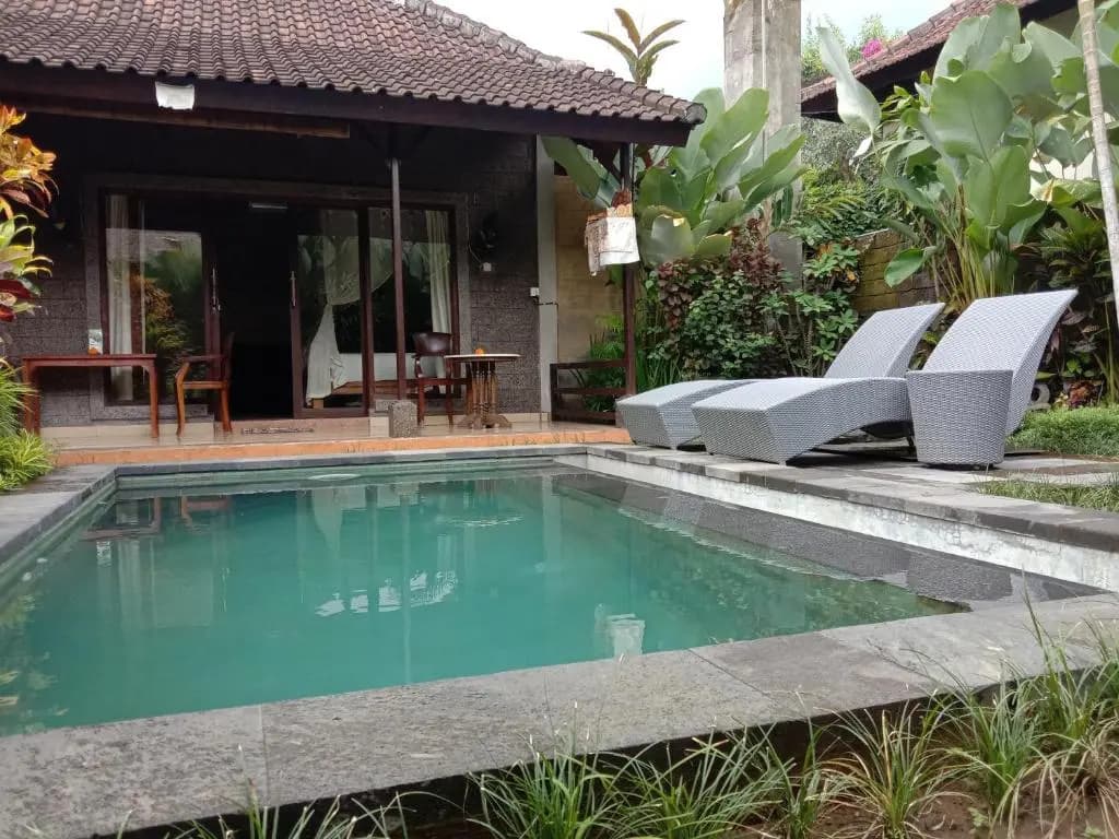 Dedik House - photo 6