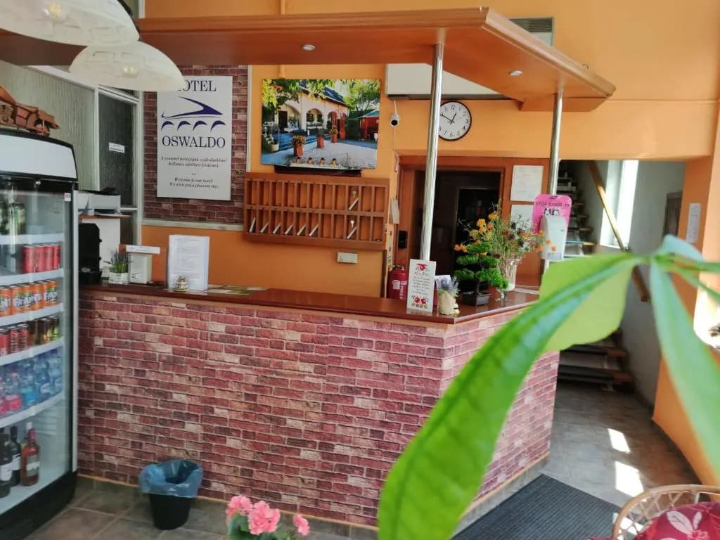 Hotel Oswaldo - photo 10