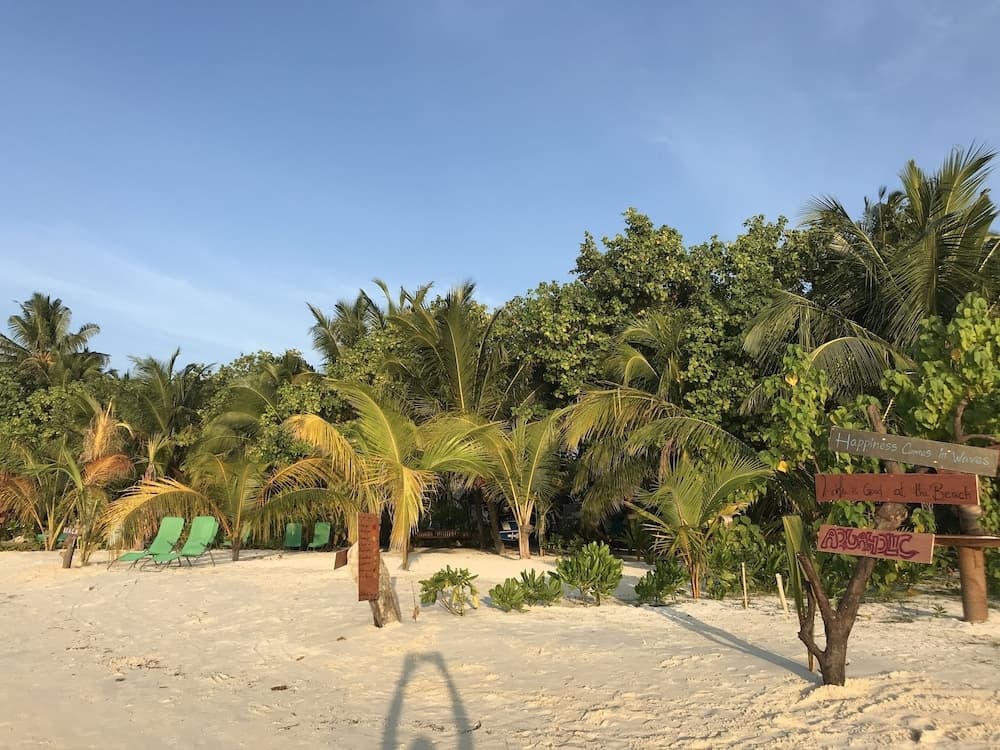 Dhiffushi Inn - photo 15