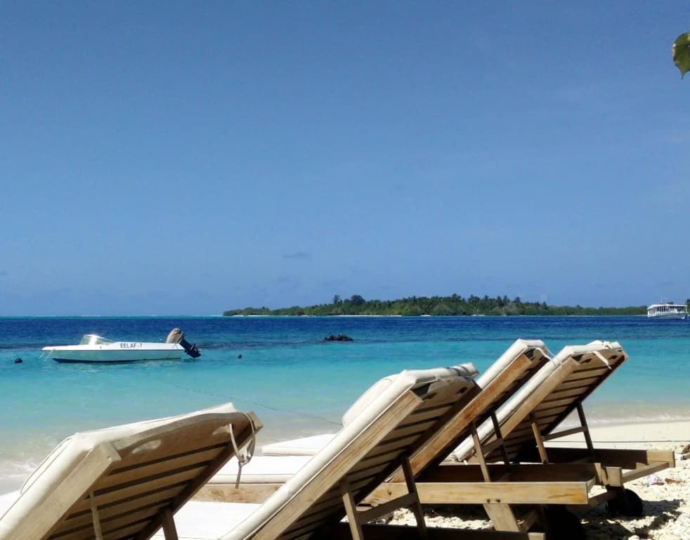 Season Paradise - photo 26