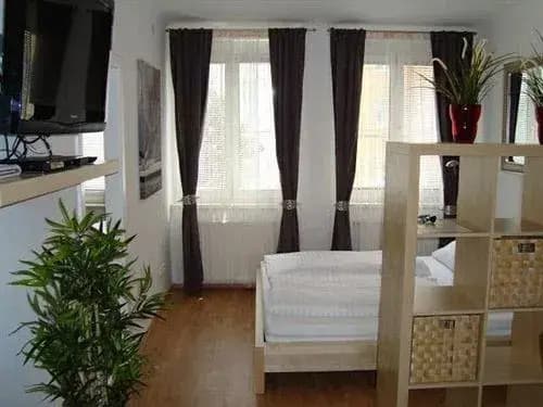 Wilhelm Apartment Wien - photo 5