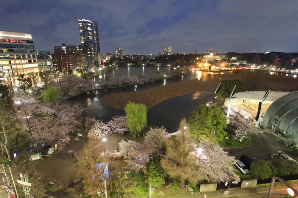 Centurion Hotel Ueno - photo 32
