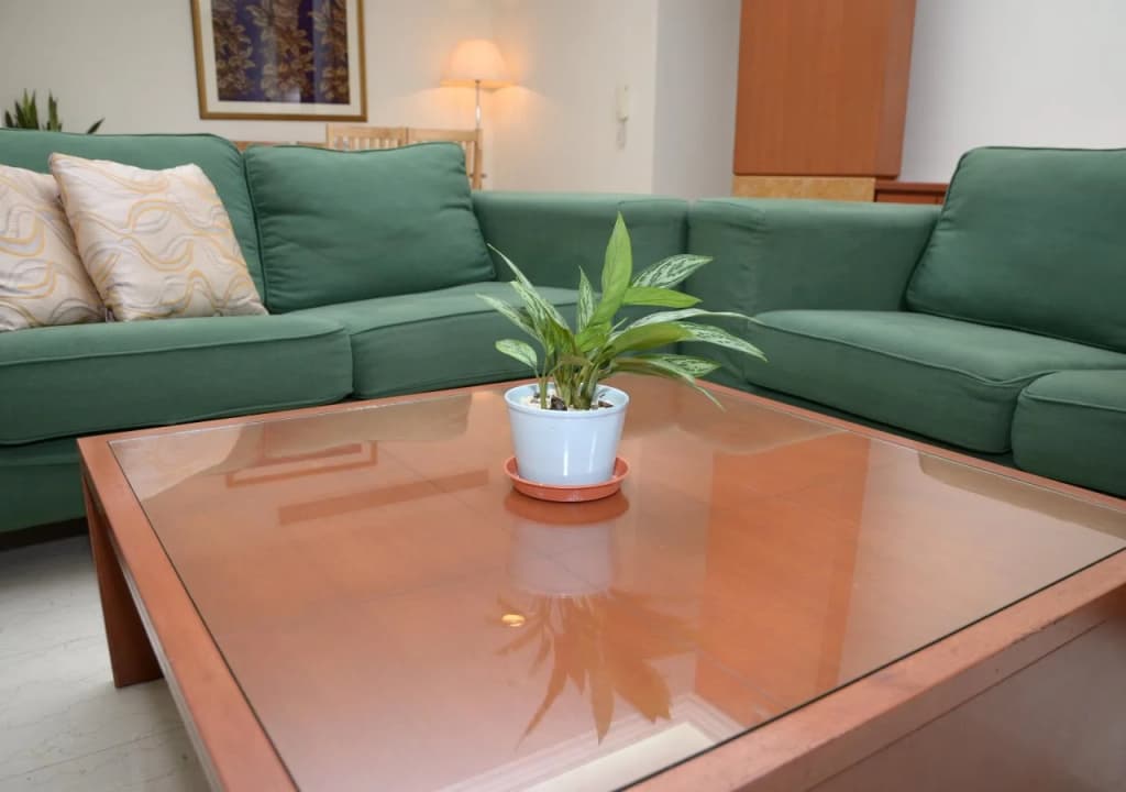 The Maple Suite - photo 15