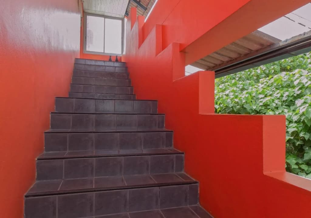 Anda Orange Pier Guesthouse - photo 40