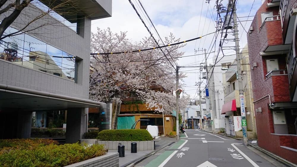 Fc House Shibuya - photo 17